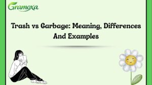 Trash vs Garbage: Meaning, Differences And Examples