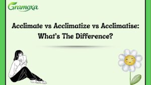 Acclimate vs Acclimatize vs Acclimatise: What’s The Difference?