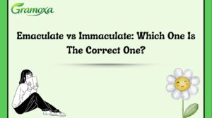 Emaculate vs Immaculate: Which One Is The Correct One?