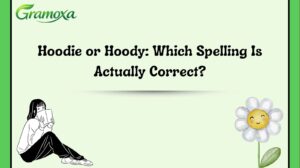 Hoodie or Hoody: Which Spelling Is Actually Correct?