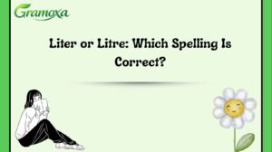 Liter or Litre: Which Spelling Is Correct?